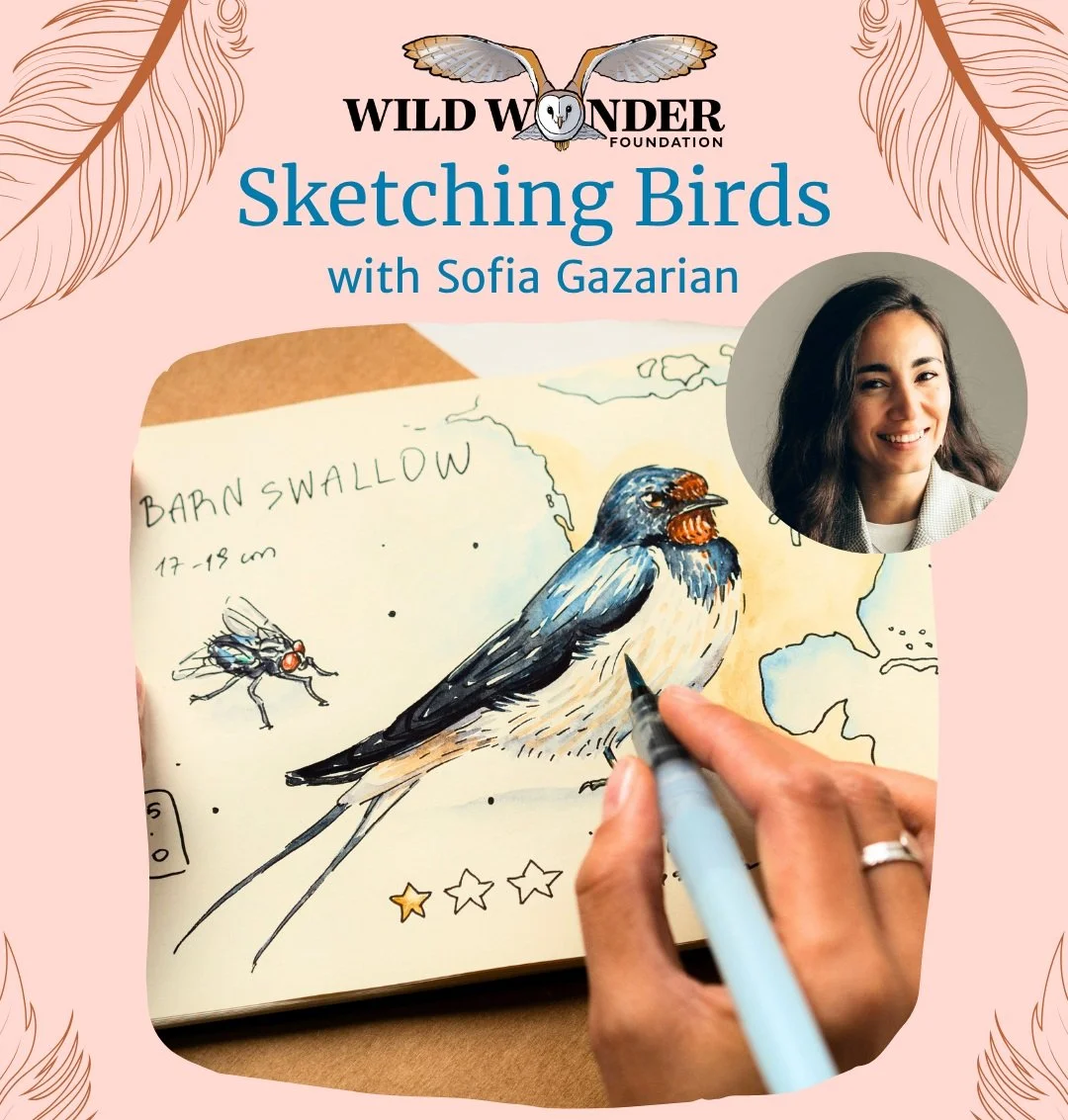 Sketching Birds with Sofia Gazarian: Recorded Class — Wild Wonder